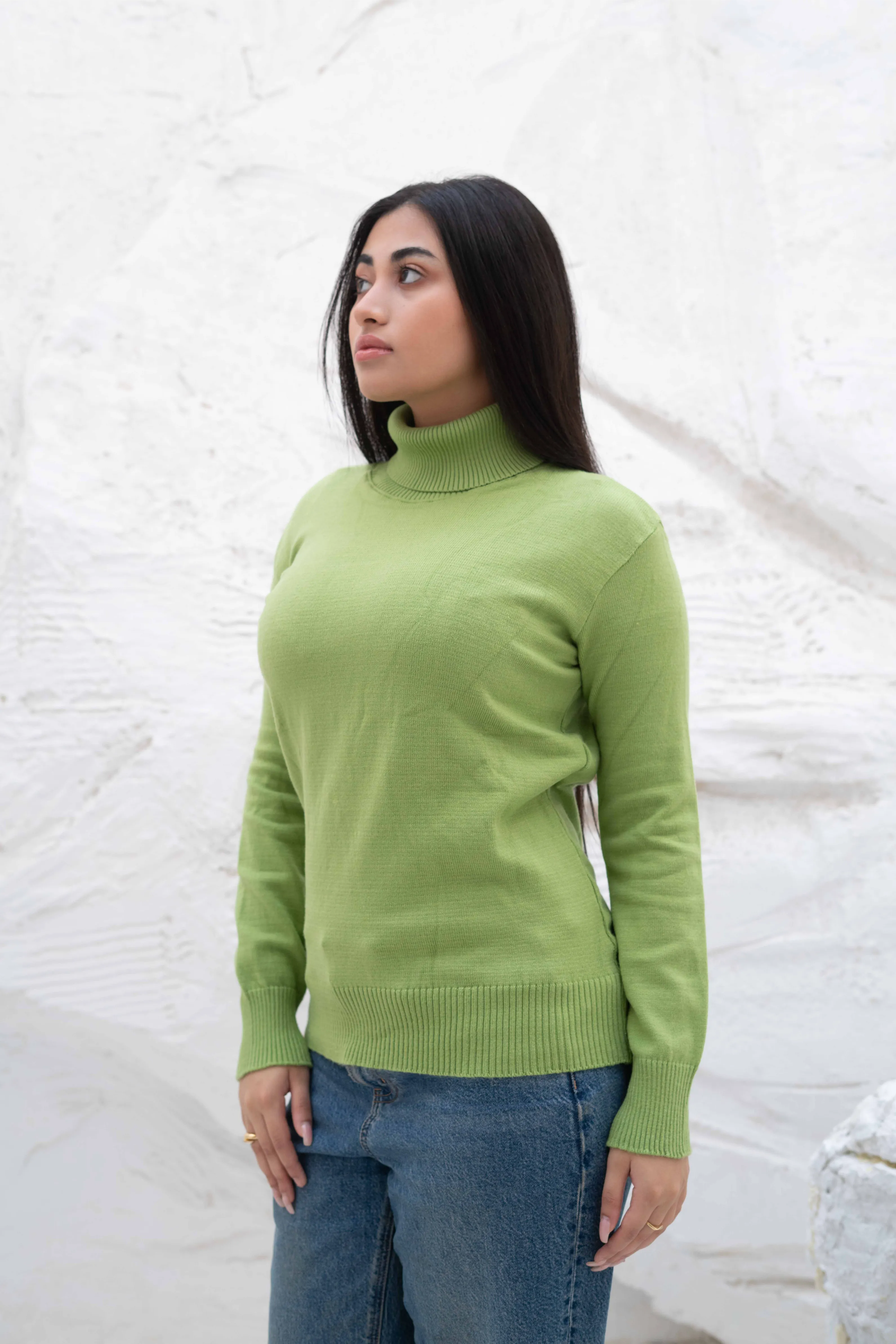 Long Sleeve Turtleneck Sweater