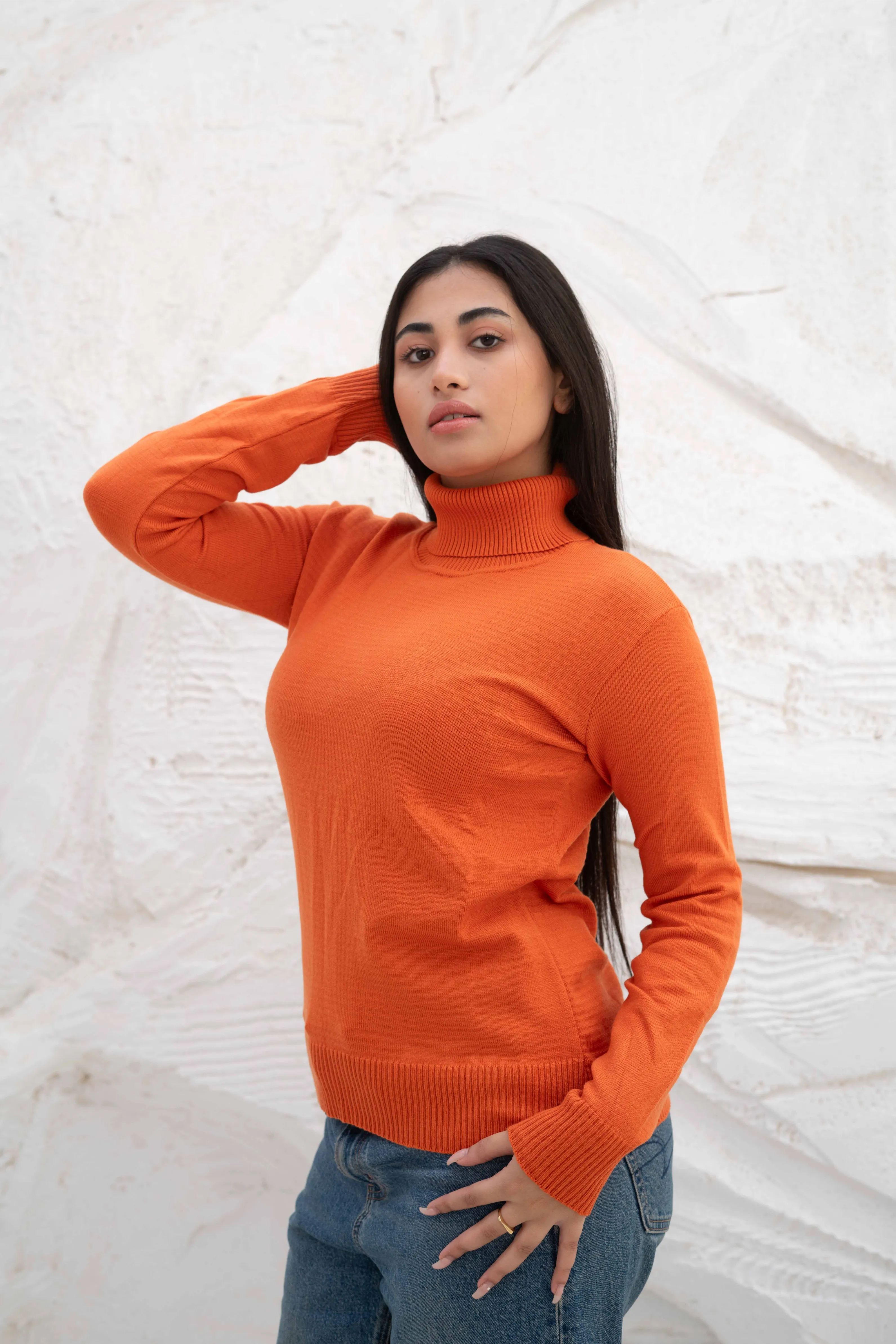 Long Sleeve Turtleneck Sweater