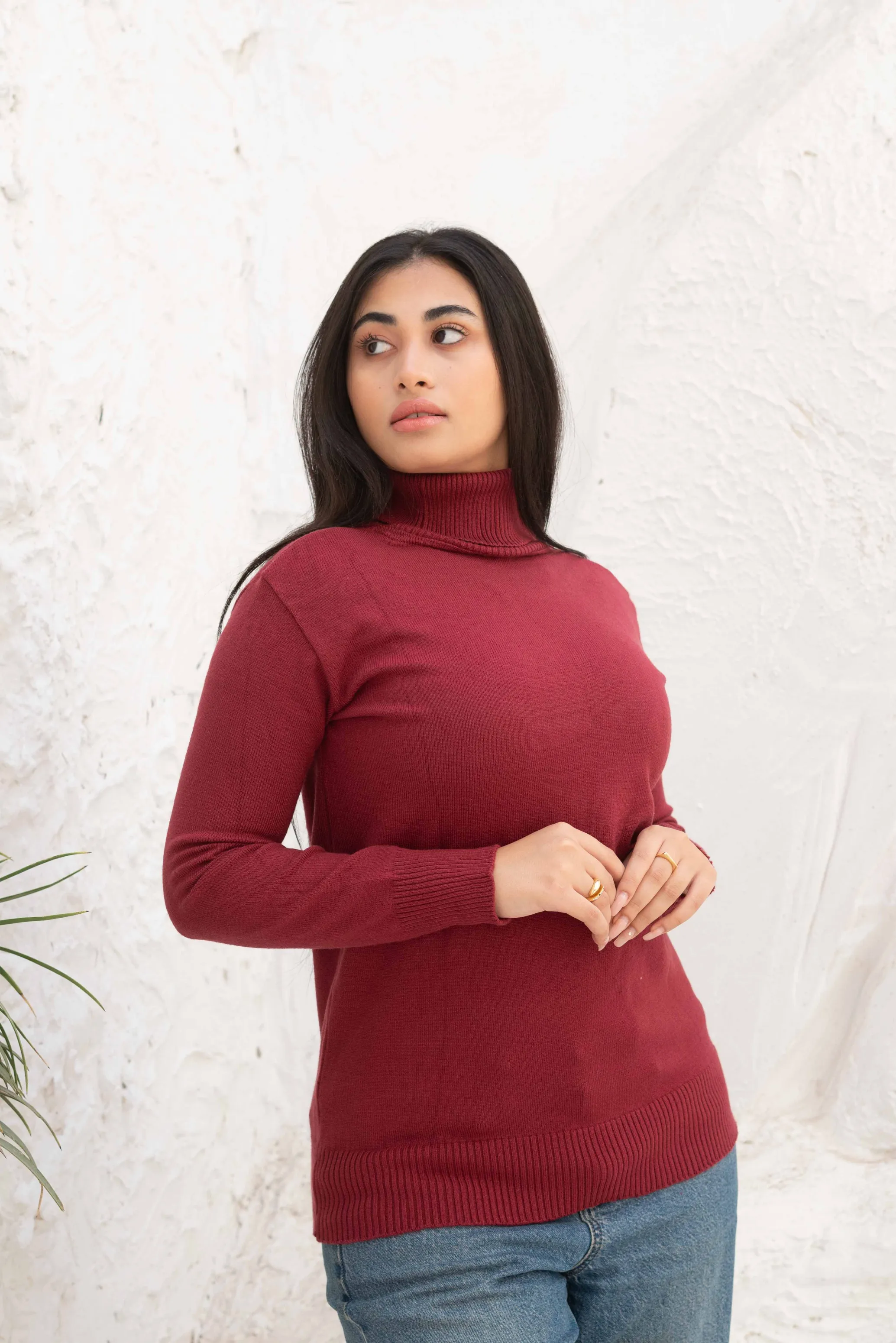 Long Sleeve Turtleneck Sweater